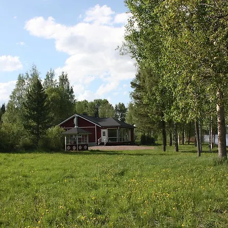 Baydar * Jyraankoski
